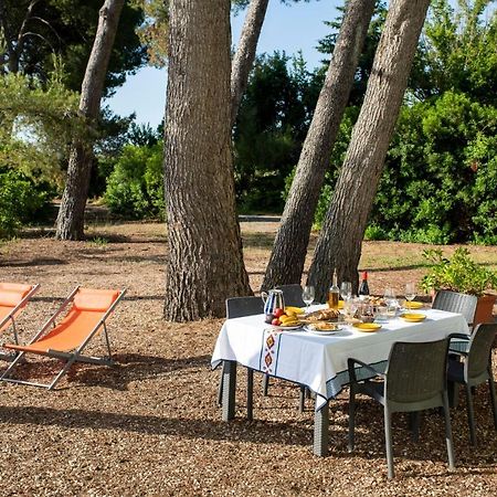 Masia Can Comas Sant Pere de Riudebitlles Exterior photo